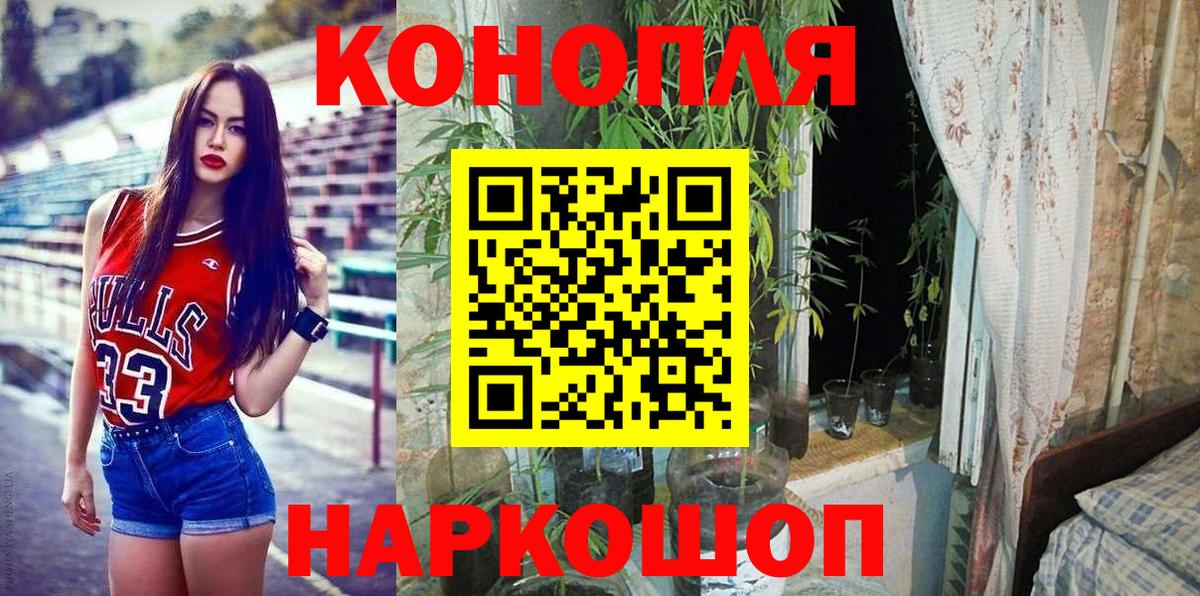 Бошки Шишки планчик Корсаков